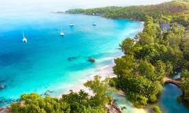 Planning Your First Easy Half-Day Snorkeling Trip: A Step-by-Step Guide