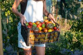 Discover Farmers’ Markets That Make Waking Up Early Totally Worth It
